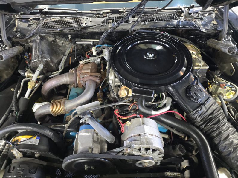 1980 Pontiac Firebird Trans Am Bandit