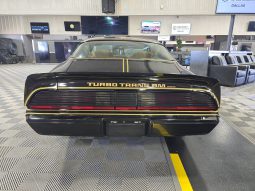 1980 Pontiac Firebird Trans Am Bandit